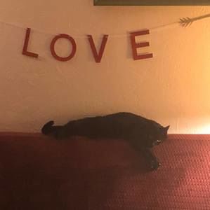 Meet your Posher, Leslie